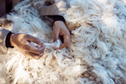Simply Merino — Australian Merino Wool for Adults, Babies & Kids