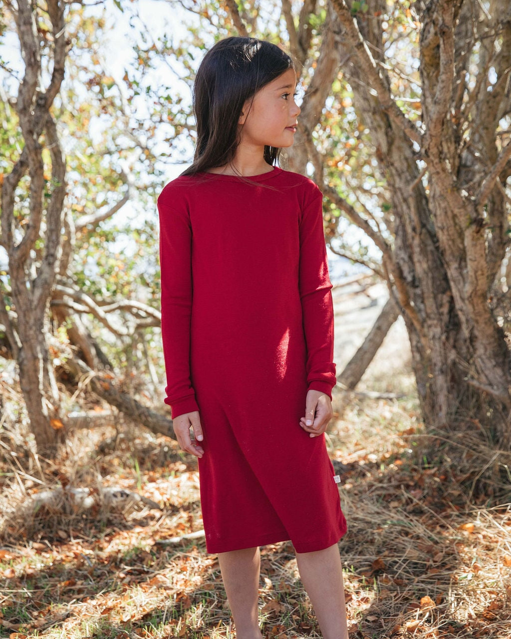 Kids Long Sleeve Dress